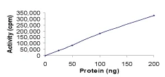 Functional Studies - Recombinant human HIPK1 protein (GST tag N-Terminus) (AB60867)