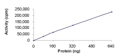 Functional Studies - Recombinant human HIPK1 protein (GST tag N-Terminus) (AB60867)