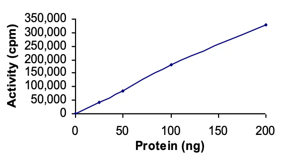 Functional Studies - Recombinant human HIPK1 protein (GST tag N-Terminus) (AB60867)