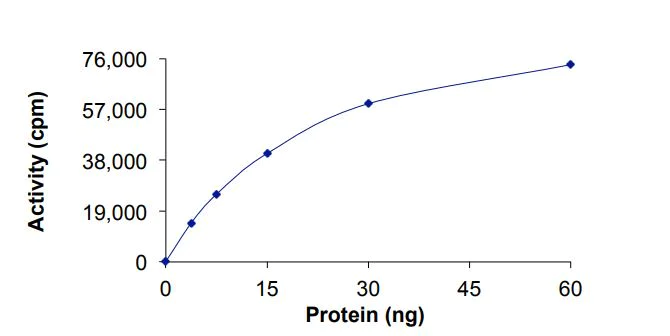 Functional Studies - Recombinant human HIPK2 protein (Active) (AB268639)