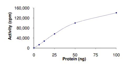 Functional Studies - Recombinant human HIPK4 protein (AB69925)