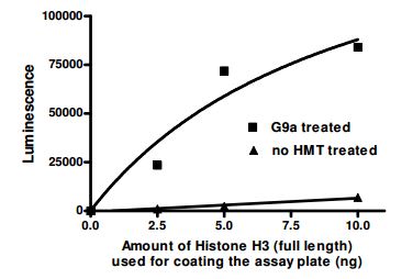 Functional Studies - Recombinant human Histone H3 protein (Active) (AB198757)
