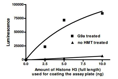 Functional Studies - Recombinant human Histone H3 protein (Active) (AB198757)