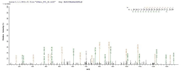 Mass Spectrometry - Recombinant Human HLA B protein (His tag) (AB225646)