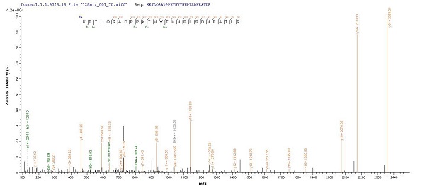 Mass Spectrometry - Recombinant Human HLA B protein (His tag) (AB225646)