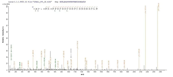 Mass Spectrometry - Recombinant Human HLA B protein (His tag) (AB225646)