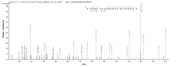 Mass Spectrometry - Recombinant Human HLA G protein (His tag) (AB225660)