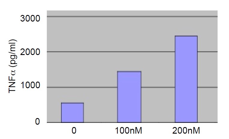 Functional Studies - Recombinant human HMGB1 protein (Tagged-His Tag) (AB81876), expandable thumbnail