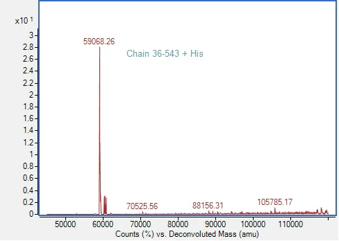 Mass Spectrometry - Recombinant Human HPSE Protein (His tag) (AB313364)