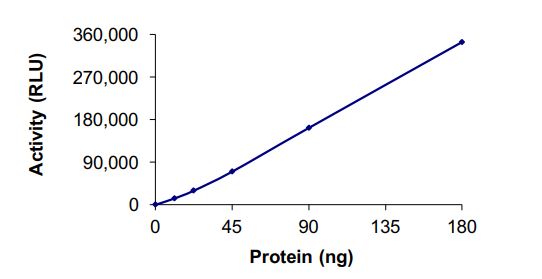 Functional Studies - Recombinant human hSET1/SET1 protein (Active) (AB268957)