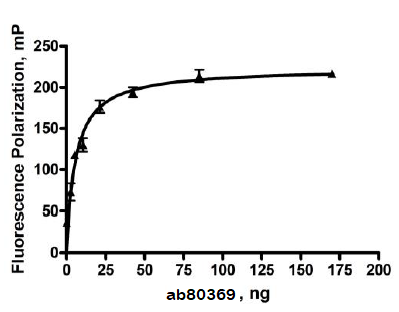 Recombinant human Hsp90 alpha protein (Active)