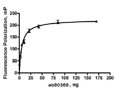 Functional Studies - Recombinant human Hsp90 alpha protein (Active) (AB80369)