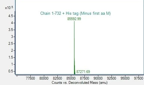 Mass Spectrometry - Recombinant Human HSP90 alpha Protein (His-tag) (AB318253)