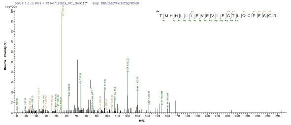 Mass Spectrometry - Recombinant Human HSPC152 protein (Tagged) (AB239546)