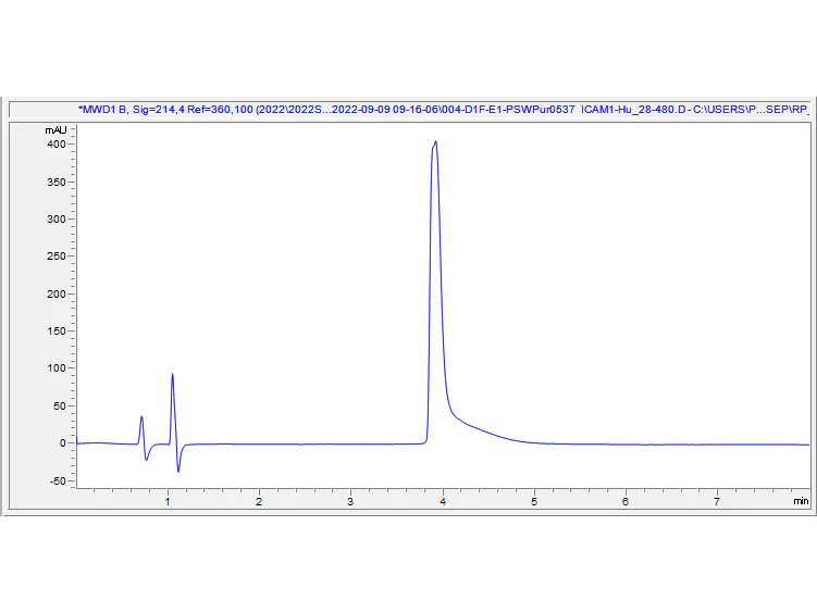 HPLC - Recombinant Human ICAM1 Protein (AB307352)
