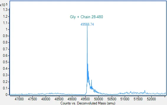 Mass Spectrometry - Recombinant Human ICAM1 Protein (AB307352)