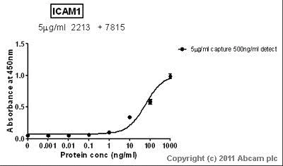 Sandwich ELISA - Recombinant human ICAM1 protein (AB82125)