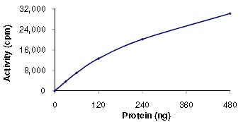 Functional Studies - Recombinant human ICK protein (AB101774)