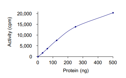Functional Studies - Recombinant human ICK protein (AB101774)