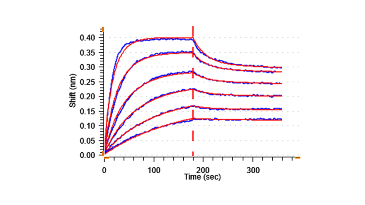 Biological Activity - Recombinant Human ICOS Ligand/ICOSL Protein (Fc Chimera) (Active) (AB307632)