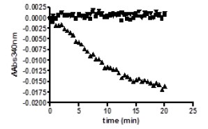 Functional Studies - Recombinant human IDH1 (mutated R132H) protein (AB198123), expandable thumbnail