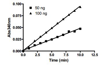 Functional Studies - Recombinant human IDH1 protein (AB198096), expandable thumbnail