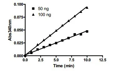 Functional Studies - Recombinant human IDH1 protein (AB198096)