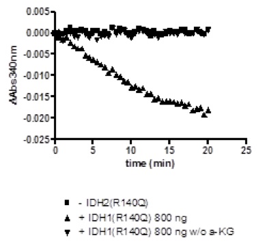 Functional Studies - Recombinant human IDH2 (mutated R140Q) protein (AB198153)