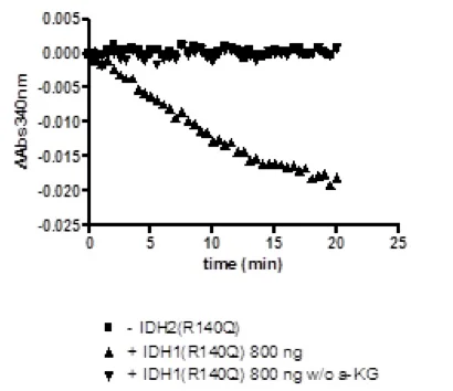 Functional Studies - Recombinant human IDH2 (mutated R140Q) protein (DDDDK tag C-Terminus) (AB198153)