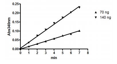 Functional Studies - Recombinant human IDH2 protein (AB198092), expandable thumbnail