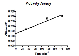 Functional Studies - Recombinant human IDO-2 protein (His tag) (AB216243)
