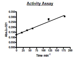 Functional Studies - Recombinant human IDO-2 protein (His tag N-Terminus) (AB216243)