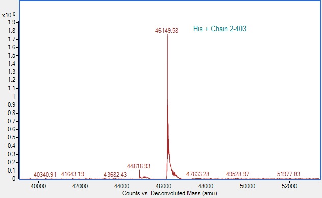 Mass Spectrometry - Recombinant Human IDO1 Protein (His tag) (E.Coli) (AB313356), expandable thumbnail