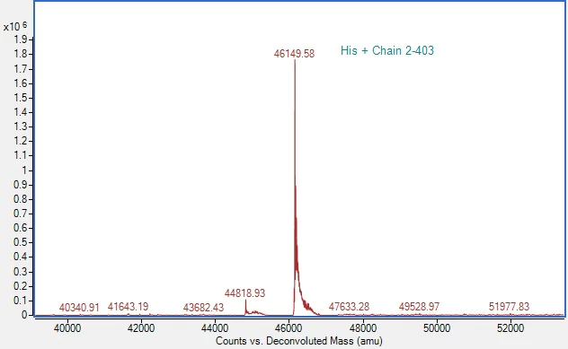 Mass Spectrometry - Recombinant Human IDO1 Protein (His tag) (E.Coli) (AB313356)