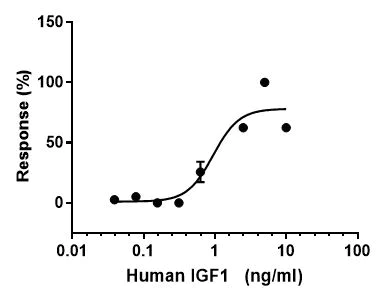 Functional Studies - Recombinant human IGF1 protein (Active) (AB270062)