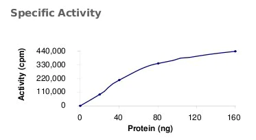 Functional Studies - Recombinant human IGF1 Receptor protein (AB71657)