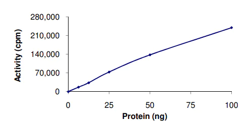 Functional Studies - Recombinant human IGF1 Receptor protein (AB71657)