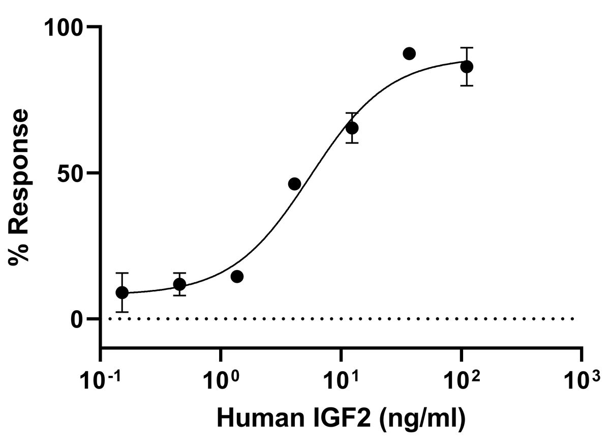 Biological Activity - Recombinant Human IGF2 protein (Active) (AB283420), expandable thumbnail