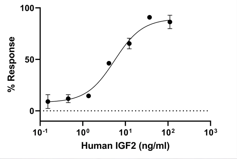 Functional Studies - Recombinant Human IGF2 protein (Active) (AB283420)