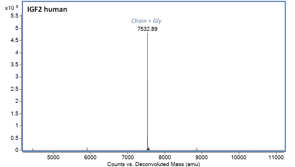 Mass Spectrometry - Recombinant Human IGF2 protein (Active) (AB283420), expandable thumbnail