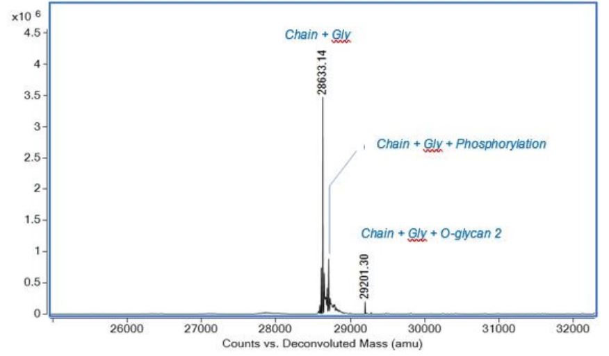 Mass Spectrometry - Recombinant human IGFBP3 protein (Active) (AB280941), expandable thumbnail