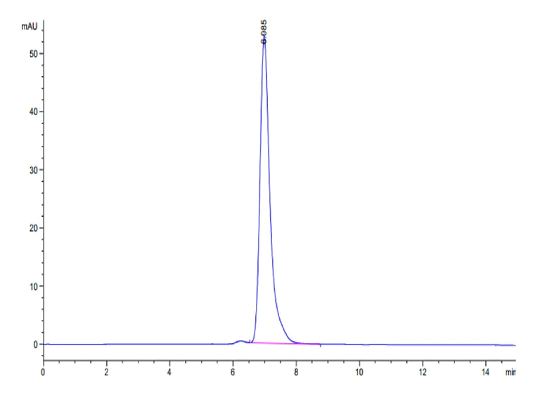HPLC - Recombinant Human IgG1 Fc (Active) protein (AB316087)