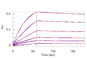 Biological Activity - Recombinant Human IgG1 Fc Protein, His Tag (Active) (AB219660)