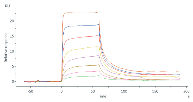 Surface Plasmon Resonance - Recombinant Human IgG4 Fc Protein, Tag Free (Active) (AB181968), expandable thumbnail