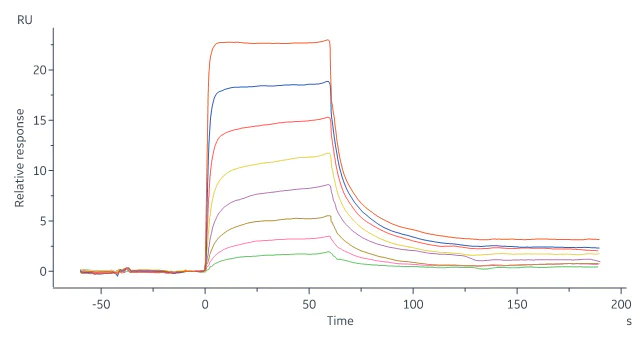 Surface Plasmon Resonance - Recombinant Human IgG4 Fc Protein, Tag Free (Active) (AB181968)