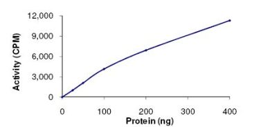 Functional Studies - Recombinant human IKK alpha protein (Active) (AB102103), expandable thumbnail