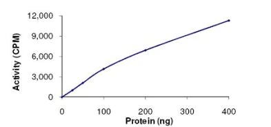 Functional Studies - Recombinant human IKK alpha protein (Active) (AB102103)