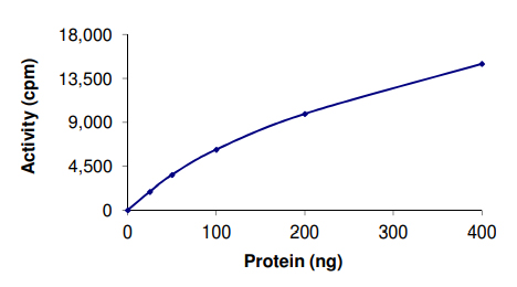 Functional Studies - Recombinant human IKK alpha protein (Active) (AB102103), expandable thumbnail