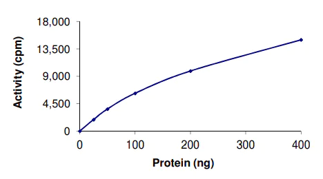 Functional Studies - Recombinant human IKK alpha protein (Active) (GST tag N-Terminus) (AB102103)