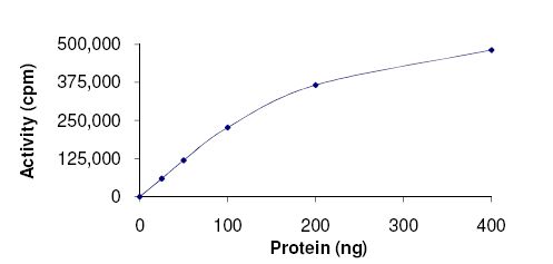 Functional Studies - Recombinant human IKK beta protein (Active) (AB177584), expandable thumbnail